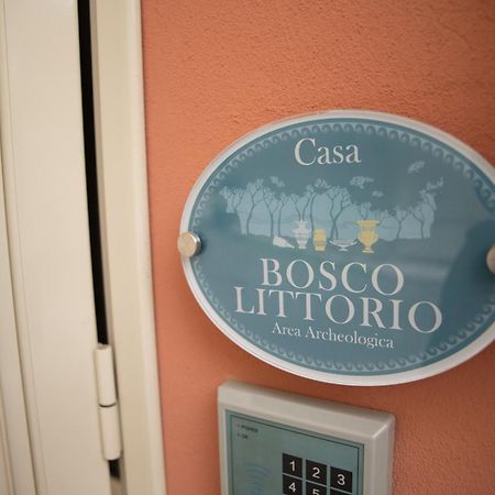 Le Dimore Di Ulisse A Gela - Casa Vacanze B&B - Bosco Littorio - Area Archeologica Εξωτερικό φωτογραφία