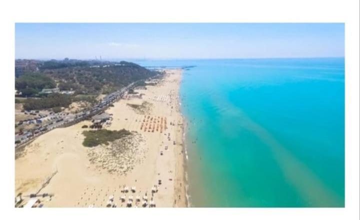 Le Dimore Di Ulisse A Gela - Casa Vacanze B&B - Bosco Littorio - Area Archeologica Εξωτερικό φωτογραφία